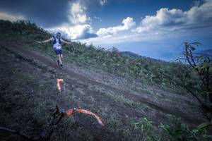 BIB: 5029
                            <button type="button" onclick="openModal(15955222)" class="btn btn-primary btn-sm float-right btn-popup" data-toggle="modal" data-target=".modal-high-quality">
                        <i class="fas fa-shopping-cart"></i> Add to Cart
                    </button>
                                            <button type="button" onclick="isThisMe(15955222, true)" class="btn btn-success btn-sm float-right btn-popup btn-isme hidden" data-toggle="tooltip" data-placement="bottom" title="นี่คือรูปของคุณใช่ไหม คลิกที่นี่เพื่อเอาเข้าอัลบั้ม">
                        <i class="fas fa-plus"></i> Add to album
                    </button>
                    <button type="button" onclick="isThisMe(15955222, false)" class="btn btn-warning btn-sm float-right btn-popup btn-isnotme hidden">
                        <i class="fas fa-ban"></i> Remove from album
                    </button>